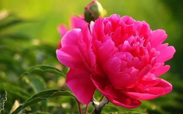 5 bài học quan trọng của cuộc đời