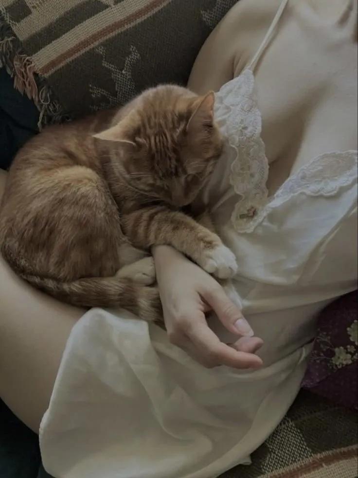 Truyện Anh Rể, Thô Quá Rồi! - Tiểu Hắc