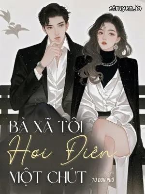 Truyện Bà Xã Tôi Hơi Điên Một Chút - Tứ Đơn Phô
