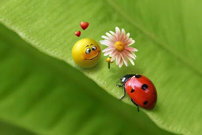 Truyện Bầu trời nức nở - Truyện Cổ Tích