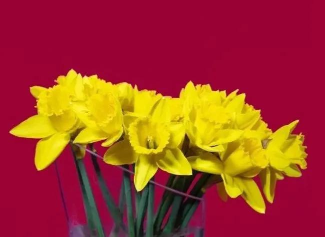 Truyện Báu vật tiềm ẩn - Truyện Cổ Tích