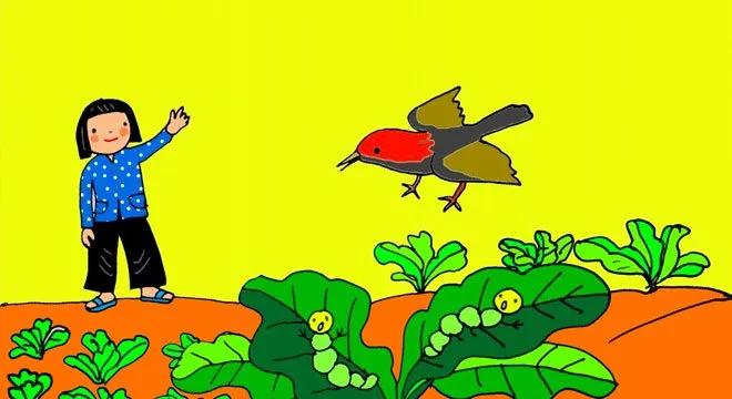 Truyện Bé và chim chích bông - Truyện Cổ Tích