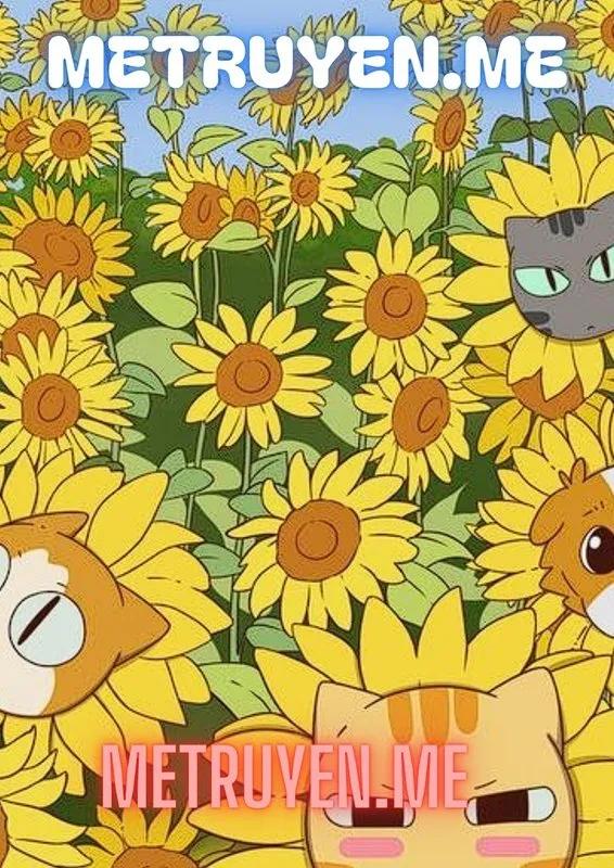 Truyện Biệt Đội Chó Mèo Hoang - Shufener đừng như thế