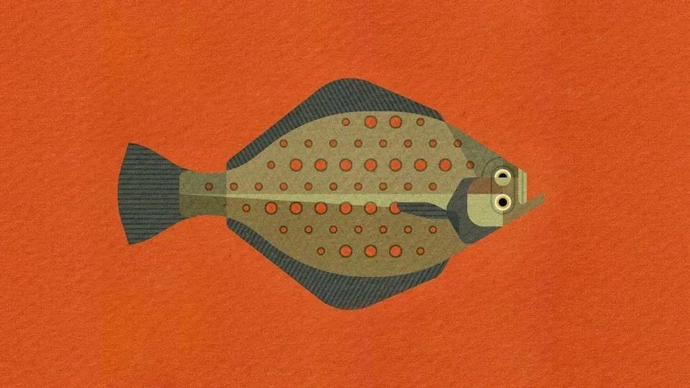 Truyện Cá gỗ - Truyện Cổ Tích