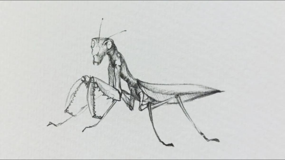 Truyện Cái áo hiệp sĩ - Truyện Cổ Tích