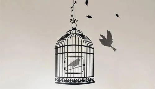 Cậu bé và chiếc lồng chim