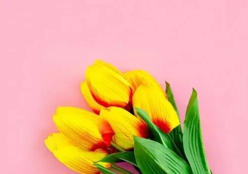 Truyện Câu chuyện tình yêu #2 - Truyện Cổ Tích