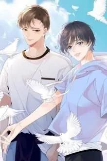 Truyện Cậu Là Mùa Hạ Của Tớ - Thanh An