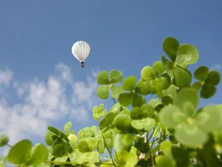 Truyện Chắp cánh ước mơ - Truyện Cổ Tích