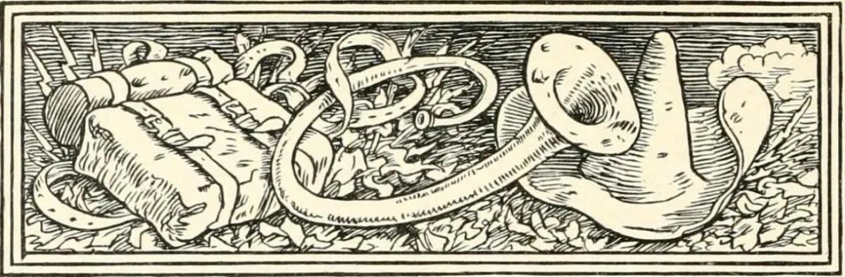 Chiếc túi dết, chiếc mũ, cái tù và bằng sừng