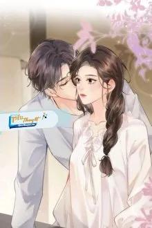 Truyện Chọn Lại Hôn Nhân - Tần Ninh - Tần Ninh