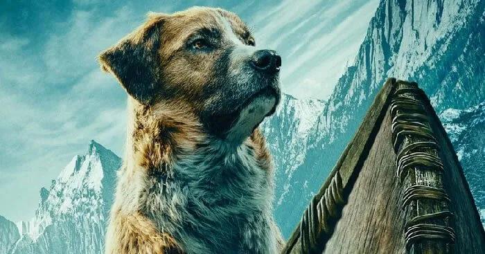 Truyện Chú chó Bấc - Truyện Cổ Tích