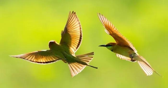 Cố gắng từng chút một