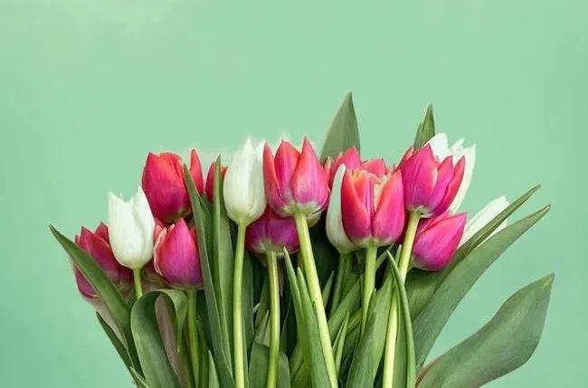 Truyện Có thể - Truyện Cổ Tích