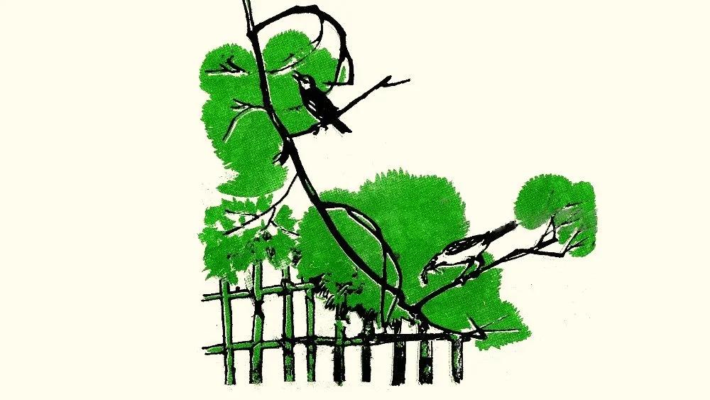 Truyện Con chim sơn ca - Truyện Cổ Tích