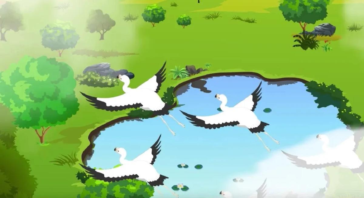 Truyện Con Cò, con Công và con Vẹt - Truyện Cổ Tích