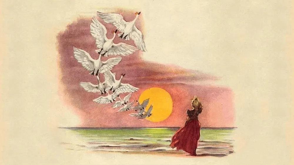 Con thiên nga bé bỏng