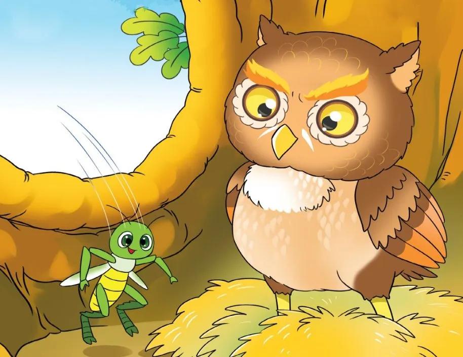 Truyện Cú mèo và châu chấu - Truyện Cổ Tích