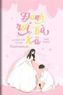 Truyện Đánh Rơi Bà Xã - Lục Manh Tinh