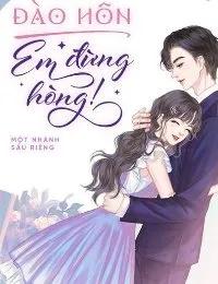 Truyện Đào Hôn, Em Đừng Hòng - Một Nhánh Sầu Riêng