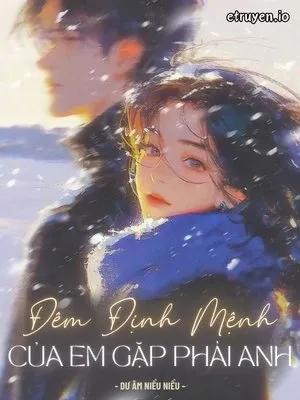 Truyện Đêm Định Mệnh Của Em Gặp Phải Anh - Dư Âm Niểu Niểu