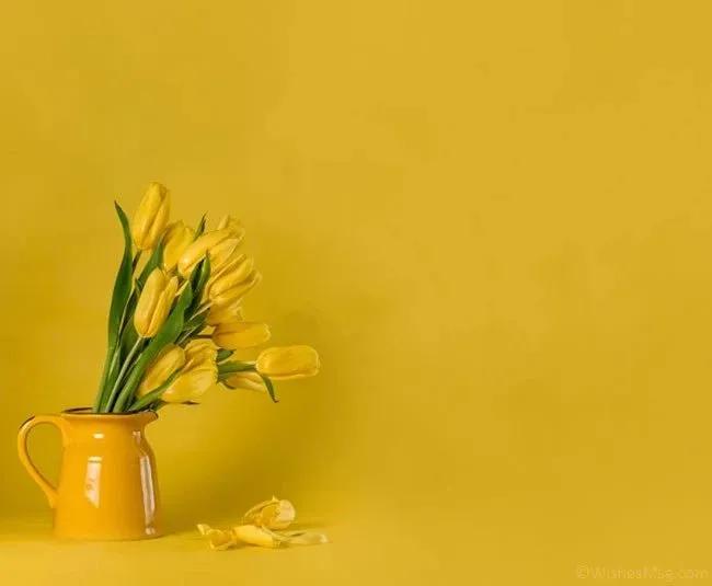 Truyện Điều nên làm - Truyện Cổ Tích