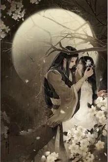 Truyện Độc Sủng Vương Phi - Vương Phi Bí Ẩn - Đinh Như Ý