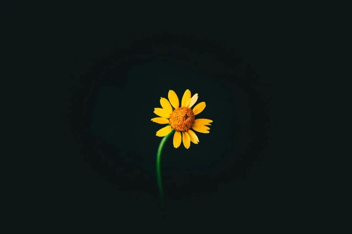 Truyện Đừng bao giờ tuyệt vọng - Truyện Cổ Tích