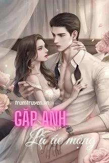 Truyện Gặp Anh Là Ác Mộng - Dan Lee Gun