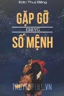 Truyện Gặp Gỡ Số Mệnh - Erryg