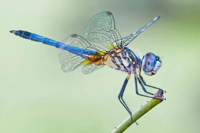 Truyện Giá trị của yêu thương - Truyện Cổ Tích