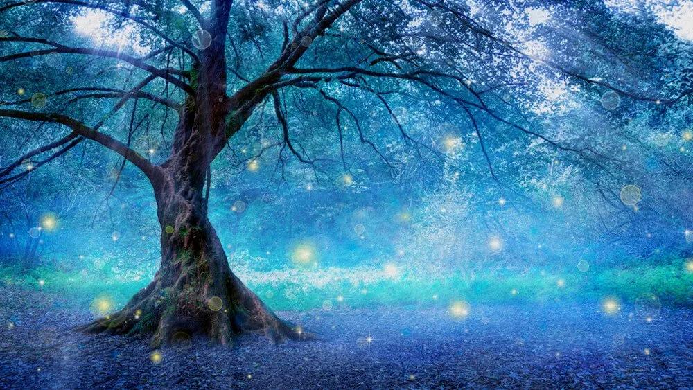 Giấc mơ cuối cùng của cây sồi