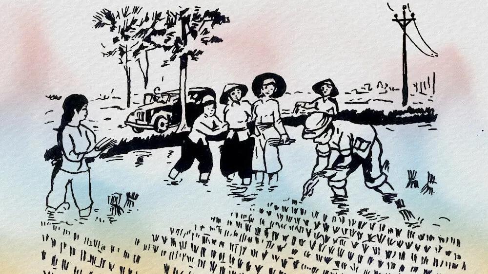 Truyện Giáo sư Lương Định Của - Nhà bác học của đồng ruộng - Truyện Cổ Tích