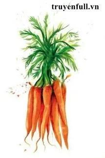 Truyện Gọt Cà Rốt Thành Khối Chưa? - Khương Nan Cật