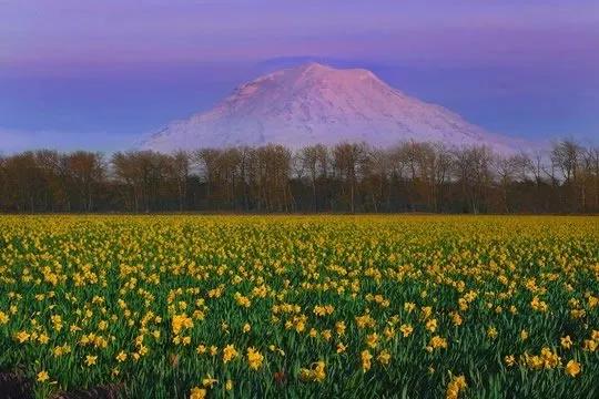 Hạnh phúc ở đâu