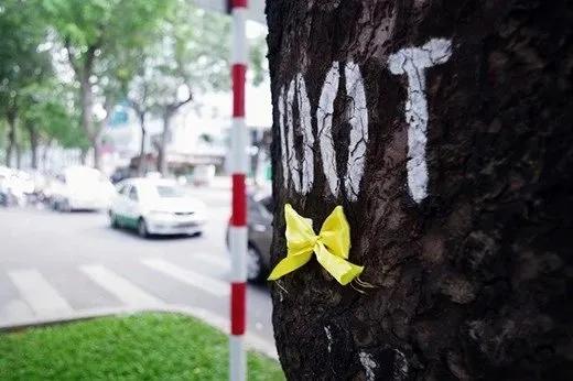 Truyện Hãy buộc một dải ruy băng lên cây sồi già - Truyện Cổ Tích