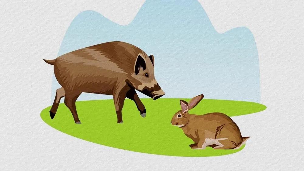 Truyện Heo rừng và Thỏ - Truyện Cổ Tích