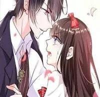 Hôn Nhân Đỉnh Cấp