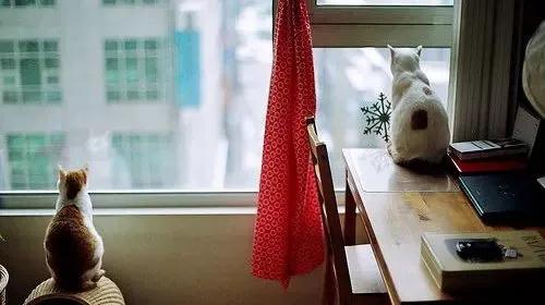 Truyện Khoảng cách - Truyện Cổ Tích