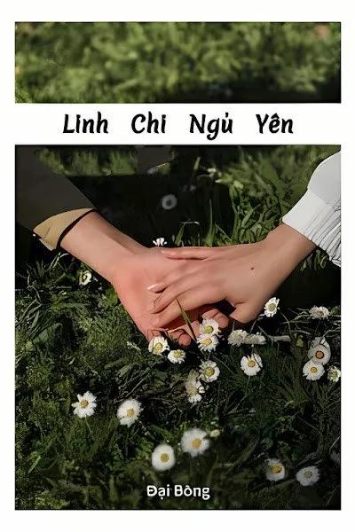 Truyện LINH CHI NGỦ YÊN - Đại Bông