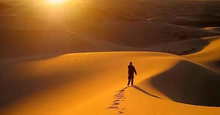 Truyện Lỗi lầm và sự biết ơn - Truyện Cổ Tích