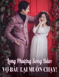 Truyện Long Phượng Song Bảo: Vợ Bầu Lại Muốn Chạy - Nguyệt Nha