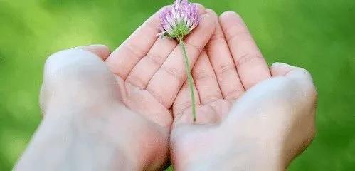 Truyện Mỗi ngày là một món quà - Truyện Cổ Tích