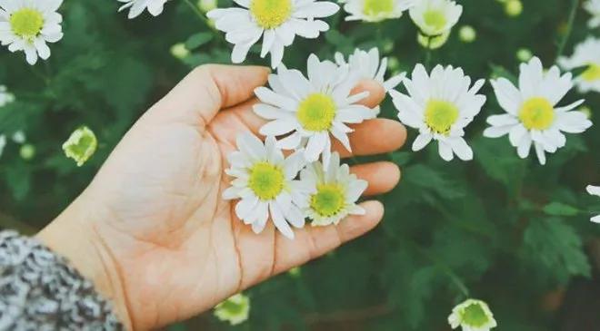 Mọi thứ rồi cũng sẽ qua