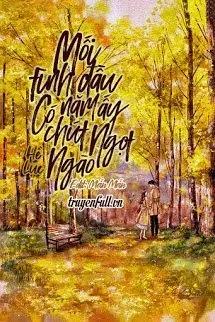 Truyện Mối Tình Đầu Năm Ấy Có Chút Ngọt Ngào - Hề Lục