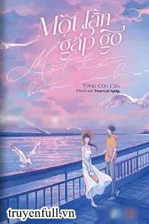 Truyện Một Lần Gặp Gỡ Một Đời Bên Anh - Tống Cửu Cẩn
