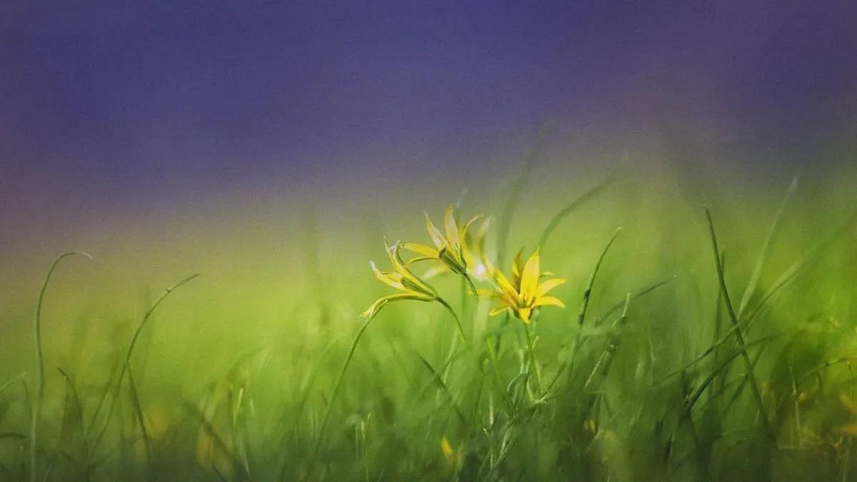 Truyện Nếu và thì - Truyện Cổ Tích