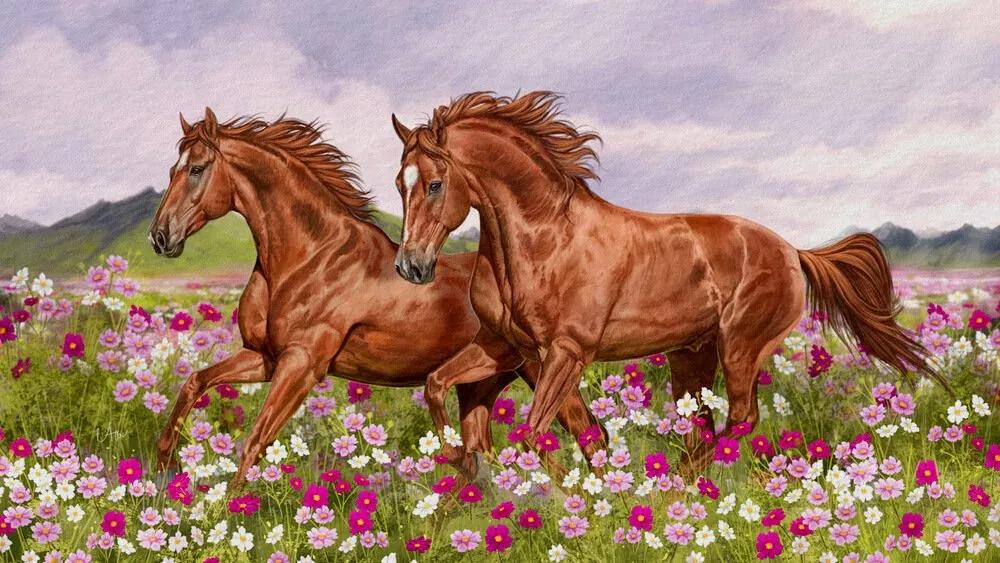 Truyện Ngựa đực, ngựa cái - Truyện Cổ Tích