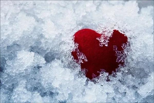 Truyện Người sẵn sàng sưởi ấm trái tim ta - Truyện Cổ Tích