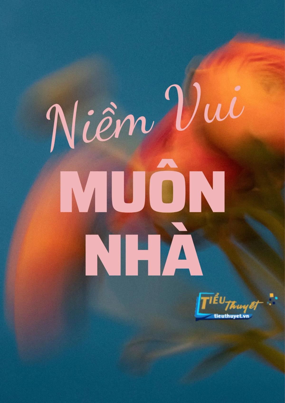 Truyện Niềm Vui Đến Muôn Nhà - Đồng An An